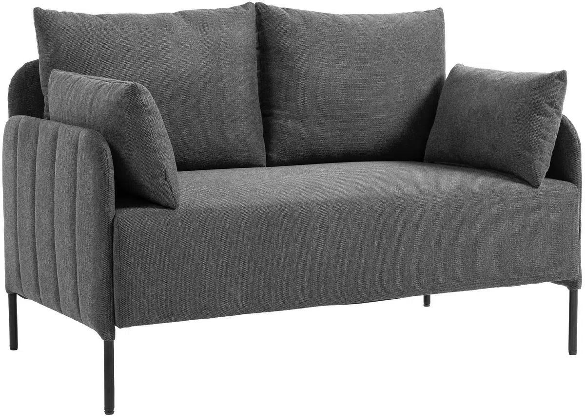 CLP Divano 2 posti confortevole Ziden, imbottito con cuscini, portata fino a 300 kg, Colore:grigio scuro